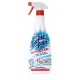 Detergente Anticalcare Spic&Span